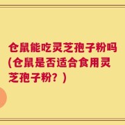 仓鼠能吃灵芝孢子粉吗(仓鼠是否适合食用灵芝孢子粉？)