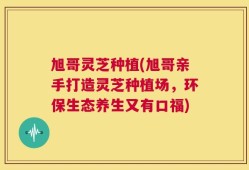 旭哥灵芝种植(旭哥亲手打造灵芝种植场，环保生态养生又有口福)