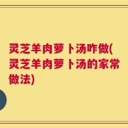 灵芝羊肉萝卜汤咋做(灵芝羊肉萝卜汤的家常做法)
