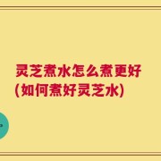 灵芝煮水怎么煮更好 (如何煮好灵芝水)