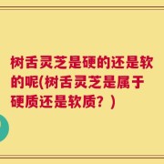 树舌灵芝是硬的还是软的呢(树舌灵芝是属于硬质还是软质？)