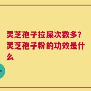 灵芝孢子拉屎次数多？灵芝孢子粉的功效是什么
