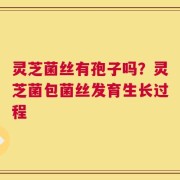 灵芝菌丝有孢子吗？灵芝菌包菌丝发育生长过程