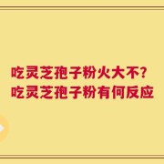 吃灵芝孢子粉火大不？吃灵芝孢子粉有何反应