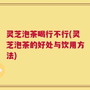 灵芝泡茶喝行不行(灵芝泡茶的好处与饮用方法)