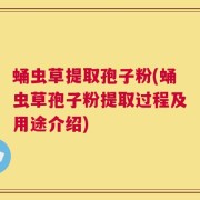 蛹虫草提取孢子粉(蛹虫草孢子粉提取过程及用途介绍)