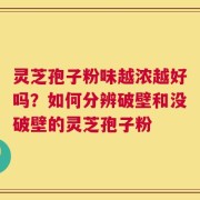灵芝孢子粉味越浓越好吗？如何分辨破壁和没破壁的灵芝孢子粉