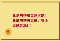 赤芝与茶树灵芝区别(赤芝与茶树灵芝：哪个更适合您？)