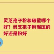 灵芝孢子粉和破壁哪个好？灵芝孢子粉碾压的好还是粉好