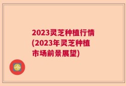 2023灵芝种植行情(2023年灵芝种植市场前景展望)