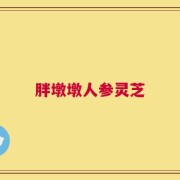 胖墩墩人参灵芝
