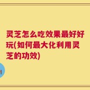 灵芝怎么吃效果最好好玩(如何最大化利用灵芝的功效)