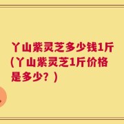 丫山紫灵芝多少钱1斤(丫山紫灵芝1斤价格是多少？)
