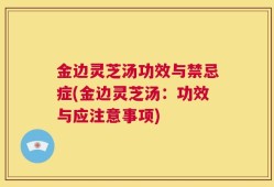 金边灵芝汤功效与禁忌症(金边灵芝汤：功效与应注意事项)