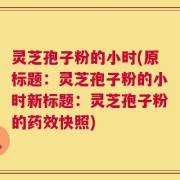 灵芝孢子粉的小时(原标题：灵芝孢子粉的小时新标题：灵芝孢子粉的药效快照)