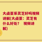 大卤蛋采灵芝好吗视频讲解(大卤蛋：灵芝有什么好处？  视频讲解)