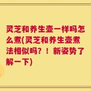 灵芝和养生壶一样吗怎么煮(灵芝和养生壶煮法相似吗？！新姿势了解一下)