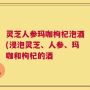 灵芝人参玛咖枸杞泡酒(浸泡灵芝、人参、玛咖和枸杞的酒
