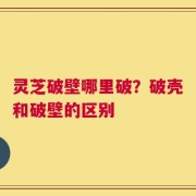 灵芝破壁哪里破？破壳和破壁的区别