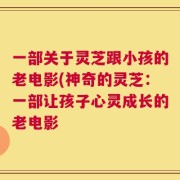 一部关于灵芝跟小孩的老电影(神奇的灵芝：一部让孩子心灵成长的老电影