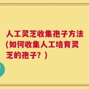 人工灵芝收集孢子方法(如何收集人工培育灵芝的孢子？)