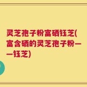 灵芝孢子粉富硒钰芝(富含硒的灵芝孢子粉——钰芝)