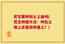 灵芝要种到土上面吗(灵芝种植方法：种在土壤上还是培养基上？)