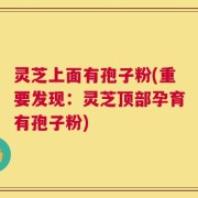 灵芝上面有孢子粉(重要发现：灵芝顶部孕育有孢子粉)