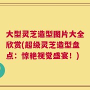 大型灵芝造型图片大全欣赏(超级灵芝造型盘点：惊艳视觉盛宴！)