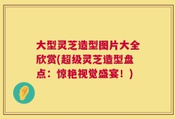 大型灵芝造型图片大全欣赏(超级灵芝造型盘点：惊艳视觉盛宴！)