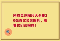 所有灵芝图片大全集30张真实灵芝图片，看看它们长啥样！