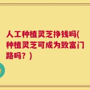 人工种植灵芝挣钱吗(种植灵芝可成为致富门路吗？)