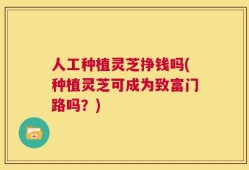 人工种植灵芝挣钱吗(种植灵芝可成为致富门路吗？)