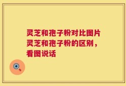 灵芝和孢子粉对比图片灵芝和孢子粉的区别，看图说话
