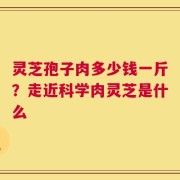 灵芝孢子肉多少钱一斤？走近科学肉灵芝是什么