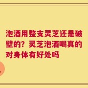 泡酒用整支灵芝还是破壁的？灵芝泡酒喝真的对身体有好处吗