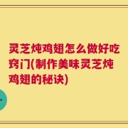 灵芝炖鸡翅怎么做好吃窍门(制作美味灵芝炖鸡翅的秘诀)