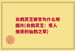 白鹤灵芝被誉为什么呢图片(白鹤灵芝：受人推崇的仙鹤之草)