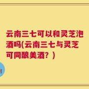 云南三七可以和灵芝泡酒吗(云南三七与灵芝可同酿美酒？)