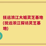 抚远浓江大姐灵芝基地(抚远浓江探访灵芝基地)