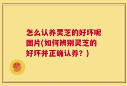 怎么认养灵芝的好坏呢图片(如何辨别灵芝的好坏并正确认养？)