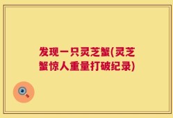 发现一只灵芝蟹(灵芝蟹惊人重量打破纪录)
