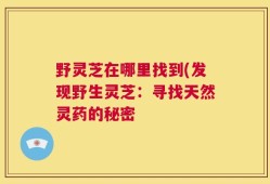 野灵芝在哪里找到(发现野生灵芝：寻找天然灵药的秘密