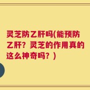 灵芝防乙肝吗(能预防乙肝？灵芝的作用真的这么神奇吗？)