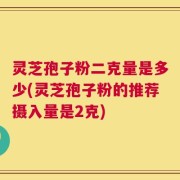 灵芝孢子粉二克量是多少(灵芝孢子粉的推荐摄入量是2克)