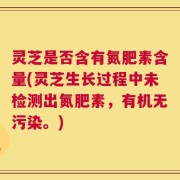 灵芝是否含有氮肥素含量(灵芝生长过程中未检测出氮肥素，有机无污染。)