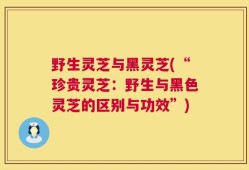 野生灵芝与黑灵芝(“珍贵灵芝：野生与黑色灵芝的区别与功效”)
