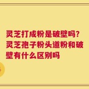 灵芝打成粉是破壁吗？灵芝孢子粉头道粉和破壁有什么区别吗