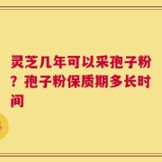 灵芝几年可以采孢子粉？孢子粉保质期多长时间