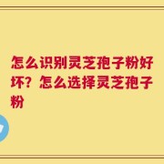 怎么识别灵芝孢子粉好坏？怎么选择灵芝孢子粉